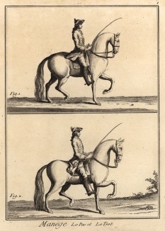 Выездка. Шаг и рысь (Ивердонская энциклопедия. Том VII. Швейцария, 1778 год)
