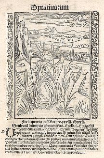 Иллюстрация Альбрехта Дюрера к "Кораблю дураков" Себастьяна Бранта. Базель, 1497