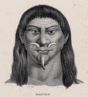 Портрет маори (лист 45 второго тома работы профессора Шинца Naturgeschichte und Abbildungen der Menschen und Säugethiere..., вышедшей в Цюрихе в 1840 году)