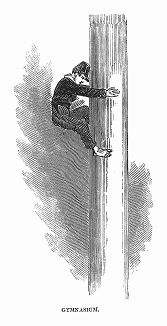 Занятия гимнастикой в британской Королевской морской школе при Королевском военно--морском госпитале, расположенном в Гринвиче (The Illustrated London News №303 от 19/02/1848 г.)