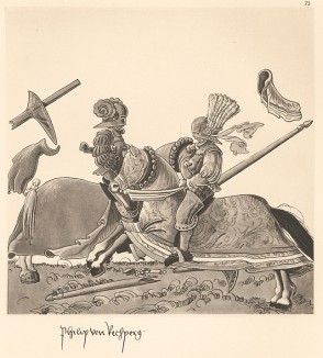 Из Freydal. Des Kaisers Maximilian I. Turniere und Mummereien (Репринт 1882 года. Вена. Лист 73)