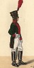 1811 г. Офицер артиллерии королевства Саксония. Коллекция Роберта фон Арнольди. Германия, 1911-29