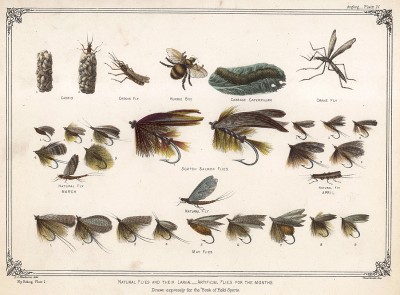 Рыболовные крючки и насекомые, используемые для наживки. The Book of Field Sports and Library of Veterinary Knowledge. Лондон, 1864
