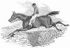 Мерин, победитель стипл-чейза -- скачки по пересечённой местности до заранее условленного пункта, изображённый британским живописцем Джоном Фредериком Херрингом старшим (1795 – 1865) (The Illustrated London News №103 от 20/04/1844 г.)