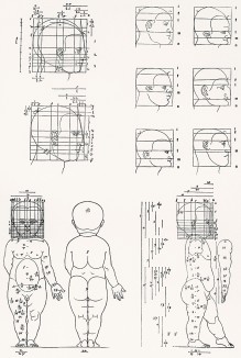 Несколько страниц из "Четырёх книг о человеческих пропорциях" Альбрехта Дюрера