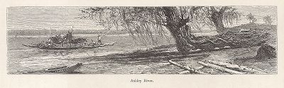 Река Эшли-ривер, штат Южная Каролина. Лист из издания "Picturesque America", т.I, Нью-Йорк, 1872.