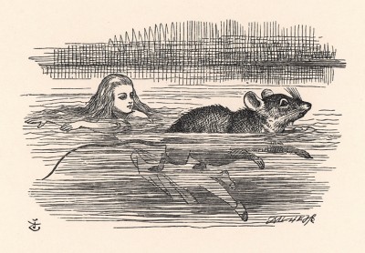 О Мышь! Не знаете ли вы, как выбраться из этой лужи? (иллюстрация Джона Тенниела к книге Льюиса Кэрролла «Алиса в Стране Чудес», выпущенной в Лондоне в 1870 году)