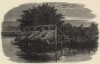 Приспособления для ловли угря на Темзе (иллюстрация к работе "Пресноводные рыбы Британии", изданной в Лондоне в 1879 году)