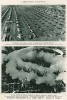 1.Более 600 итальянских самолётов на аэродроме Феррары готовятся к выступлениям. 2.Показательные выступления. Распыление дыма над Сакраменто (Калифорния). Защитный экран для самолёта противника (1931 год). L'аéronautique d'aujourd'hui. Париж, 1938