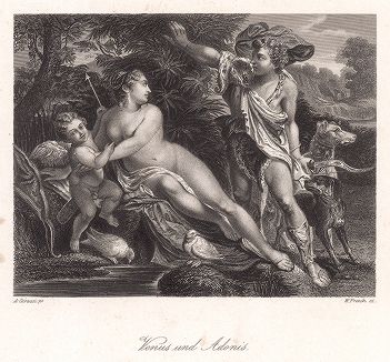 Венера и Адонис работы Аннибале Карраччи.  