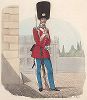 Гвардеец. Униформа датской кооролевской гвардии образца 1860-х гг. Копенгаген, 1869