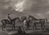 Знаменитая чистокровная верховая (английская скаковая) лошадь Затмение (1764-89) и конь по кличке Шекспир. Гравюра с живописного оригинала британского художника Джона Сарториуса. The Sportsman's Repository… by John Scott. Лондон, 1809