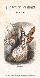 Грустные бабочки-тонкопряды в одеянии монахинь. Les Papillons, métamorphoses terrestres des peuples de l'air par Amédée Varin. Париж, 1852
