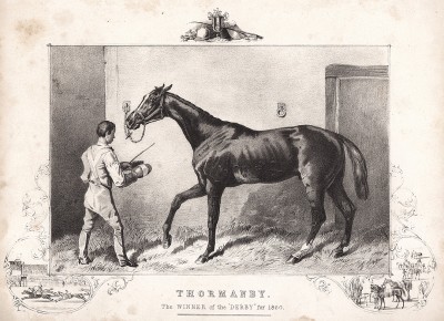 Конь Торманби, победитель Дерби в 1860 г. The Book of Field Sports and Library of Veterinary Knowledge. Лондон, 1864