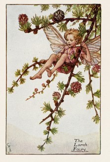 Весенние феи: фея цветущей лиственницы