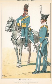 Шведские кавалеристы в униформе образца 1806-14 гг. Svenska arméns munderingar 1680-1905. Стокгольм, 1911