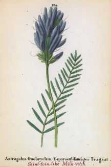 Астрагал эспарцетовый (Astragalus Onobrychis (лат.)) (лист 124 известной работы Йозефа Карла Вебера "Растения Альп", изданной в Мюнхене в 1872 году)