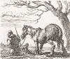 Лошадь, идущая за крестьянином. Лист № 1 из сюиты Питера ван Лара, посвященной лошадям. 