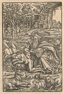 Сотворение Евы. Ксилография Ганса Брозамера. Гравюра использовалась в качестве фронтисписа к Библии, изданной Гансом Крафтом, и к Библии Ганса Люфтома (обе – Виттенберг, 1550-1560-е гг.). 