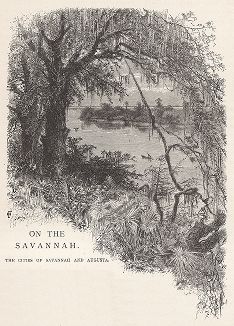 На реке Саванна, разграничивающей штаты Джорджия и Северная Каролина. Лист из издания "Picturesque America", т.I, Нью-Йорк, 1872.