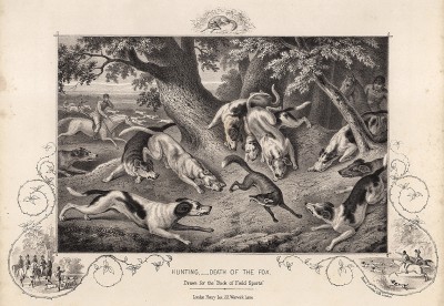 Охота. Смерть лисы. The Book of Field Sports and Library of Veterinary Knowledge. Лондон, 1864