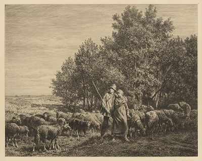 Пастух с пастушкой и отарой овец. Офорт Шарля Жака, около 1880 г.  