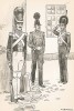 Офицер и солдаты полка Andra в униформе образца 1816-33 гг. Svenska arméns munderingar 1680-1905. Стокгольм, 1911