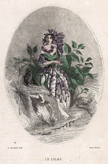 Юная Сирень, переживающая  волнение первой любви. Les Fleurs Animées par J.-J Grandville. Париж, 1847