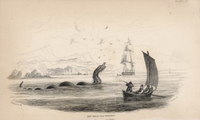 Змей Великого моря (Great Sea serpent (англ.)) (лист 29 тома VI "Библиотеки натуралиста" Вильяма Жардина, изданного в Эдинбурге в 1843 году)