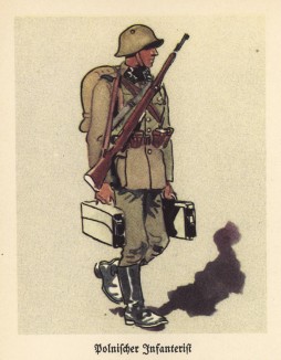 Солдат польской пехоты в 1936 году (из популярной в нацистской Германии работы Мартина Лезиуса Das Ehrenkleid des Soldaten... Берлин. 1936 год)