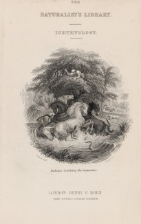 Титульный лист тома XL "Библиотеки натуралиста" Вильяма Жардина, изданного в Эдинбурге в 1860 году и посвящённого Иоганну Буркхардту (на миниатюре изображена охота на рыбу гимнот в Индии)