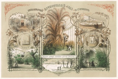 Императорский Ботанический сад в Санкт-Петербурге. Русский художественный листок, №6, 1861