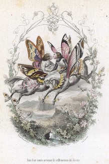 Поцелуй двух бабочек, летящих по воздуху на своих крылатых конях. Les Papillons, métamorphoses terrestres des peuples de l'air par Amédée Varin. Париж, 1852