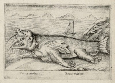 Морская свинья (лист из альбома Nova raccolta de li animali piu curiosi del mondo disegnati et intagliati da Antonio Tempesta... Рим. 1651 год)