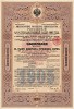 Российский 4,5% государственный заём 1905 года. Реализация займа была возложена на синдикат заграничных и русских банковых учреждений. Заём был аннулирован с 1 декабря 1917 года декретом от 21 января 1918 года