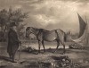 Конь Старый Билли (1760-1822) и его хозяин Генри Харрисон. Этот легендарный конь-бурлак прожил 62 года (средняя продолжительность жизни лошади - около 30 лет). Лондон, 1829
