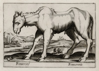 Носорог странноватый (лист из альбома Nova raccolta de li animali piu curiosi del mondo disegnati et intagliati da Antonio Tempesta... Рим. 1651 год)