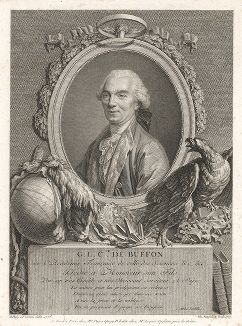 Жорж-Луи Леклерк, граф де Бюффон (1707--1788) - французский натурфилософ и естествоиспытатель, математик и писатель, интендант Королевского ботанического сада в Париже. 