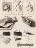 Инструменты для резцовой гравюры на меди (Ивердонская энциклопедия. Том V. Швейцария, 1777 год)