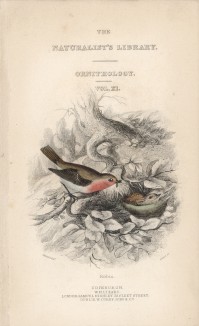 Титульный лист XXV тома "Библиотеки натуралиста" Вильяма Жардина, изданного в Эдинбурге в 1839 году и посвящённого энциклопедисту Вильяму Смелли (на миниатюре птицы, обитающие в Англии)