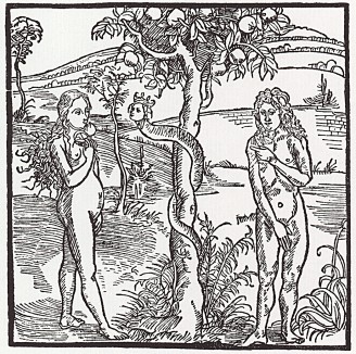 Ева, вкушающая яблоко (иллюстрация к книге "Рыцарь Башни", гравированная Дюрером в 1493 году)