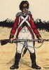 1807 г. Грендер 3-го швейцарского полка Великой армии Наполеона. Коллекция Роберта фон Арнольди. Германия, 1911-29