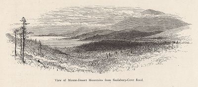 Вид на Пустынные горы с дороги Солсбери-Коув-роуд, штат Мэн. Лист из издания "Picturesque America", т.I, Нью-Йорк, 1872.