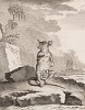 Мать многих голохвостых опоссумов (лист XXXI иллюстраций к четвёртому тому знаменитой "Естественной истории" графа де Бюффона, изданному в Париже в 1753 году)