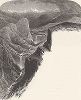 Долина реки Мерсид-ривер, вид с ледника. Йосемити, штат Калифорния. Лист из издания "Picturesque America", т.I, Нью-Йорк, 1872.