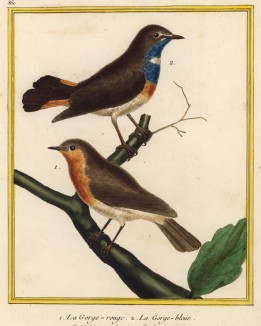 Птички 1. Mot. (Sylvia) rubecula, 2. Mot. (Sylvia) sucrica. D'Aubenton, Table des planches enluminées d'histoire naturelle (фр.), л.361. Утрехт, 1783