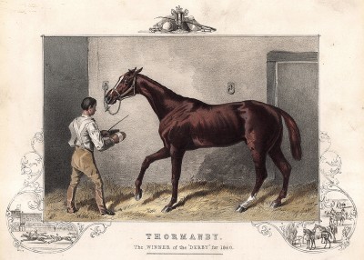 Торманби, победитель дерби 1860 года. The Book of Field Sports and Library of Veterinary Knowledge. Лондон, 1864