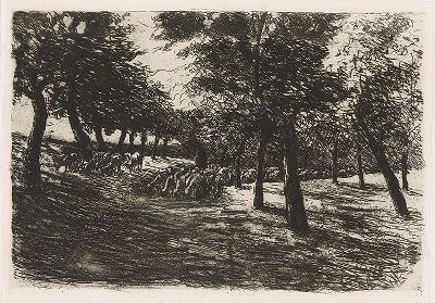 Стадо овечек под деревьями. Офорт Макса Либермана, 1891 год. 