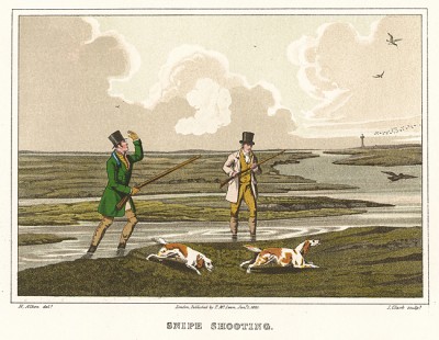 Охота на бекаса в болотах. The National Sports of Great Britain by Henry Alken. Лондон, 1903