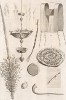 Таллит (накидка). У древних - часть одежды; свечи, зажигаемые женщинами в Шаббат; хлеб, выпекаемый для Пасхи, и маца. Пальмовый росток, миртовая ветка, ива и лимон для специального обряда в праздник Суккот; мезуза -- свиток пергамента (Том I. Лист 6)